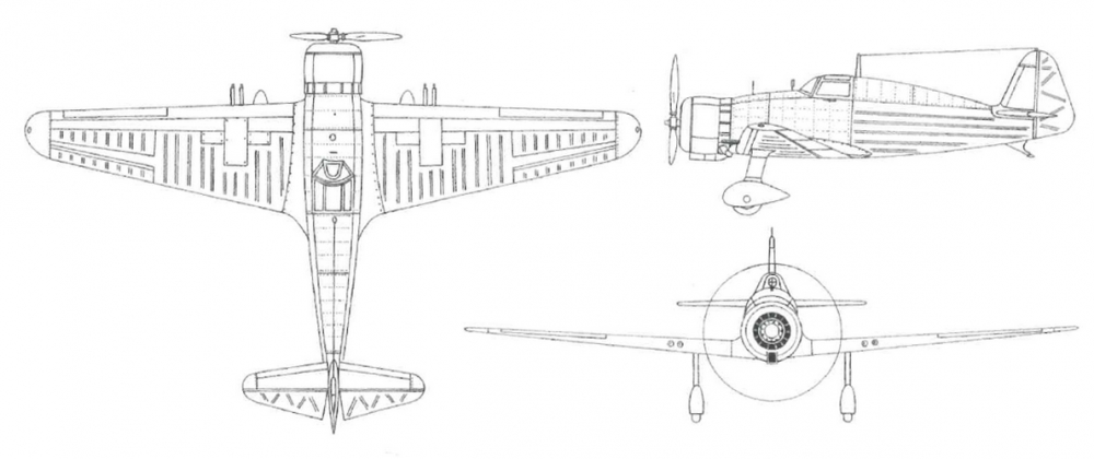 RWD-25.jpg