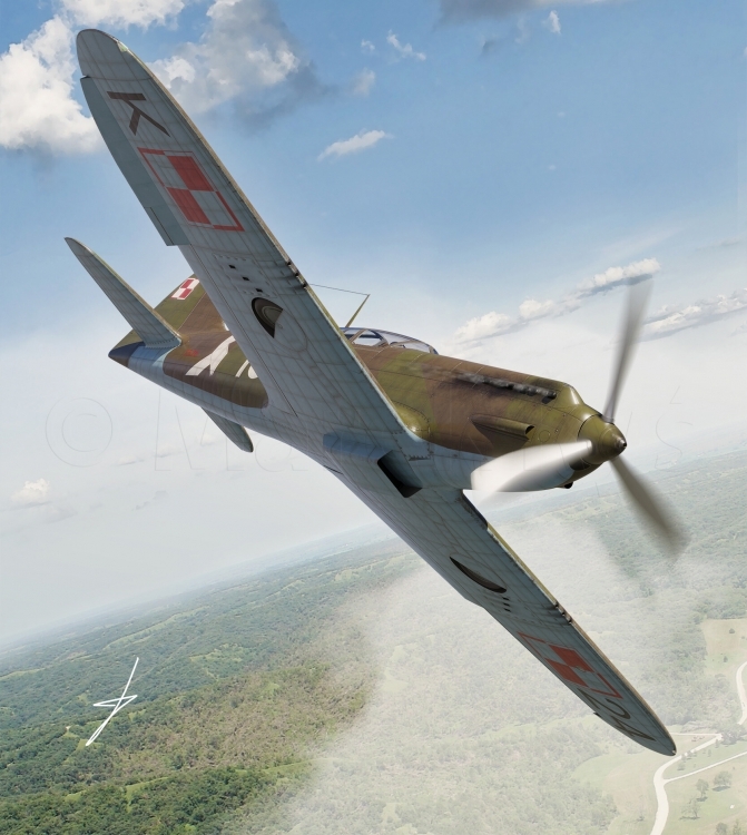 1941 P-55.jpg