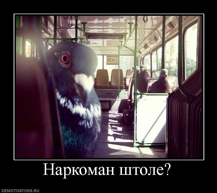 a38aec95a167fa684d7fde9cfc8c9486-803635_narkoman-shtole.jpg
